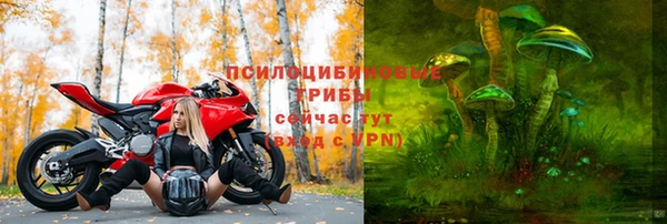 а пвп мука Бородино