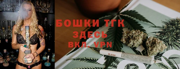 ешки Верхний Тагил