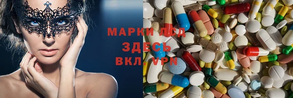 apvp Верея