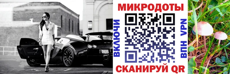 купить наркоту  Камышин  Галлюциногенные грибы Psilocybe 